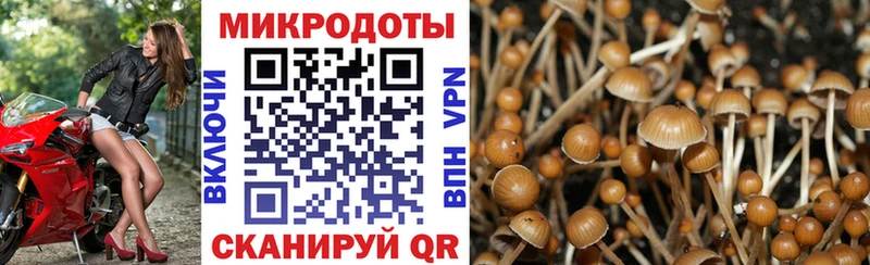 Купить где  Удачный  Псилоцибиновые грибы ЛСД 